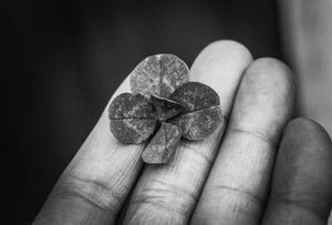  Vương quốc giải trí 